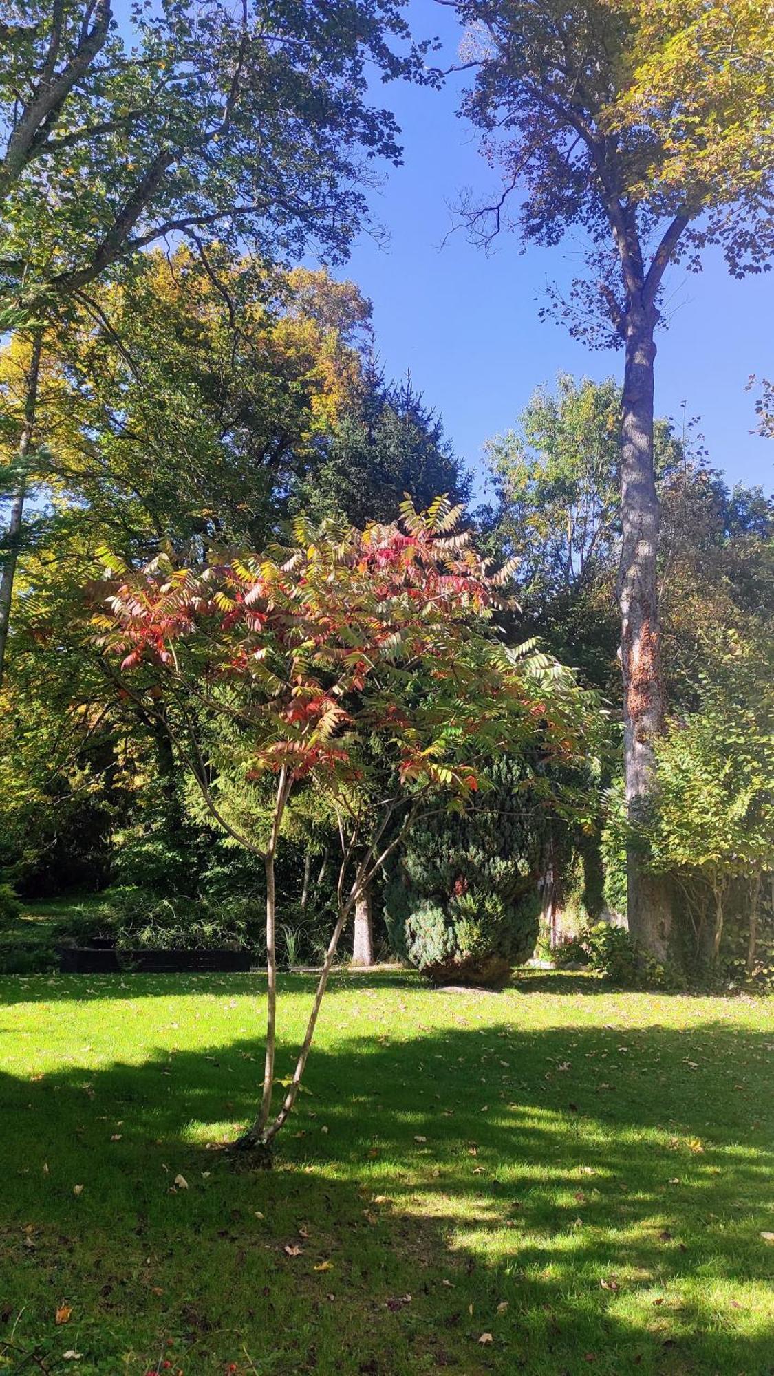 Pavillon C.R Panzió Isles-sur-Suippe Kültér fotó